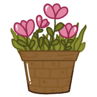fleur rose dans un pot png