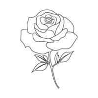 continuous one line artwork of rose flower tulip vector illustration design.
