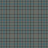 Tartan plaid pattern with texture and warm color. vector