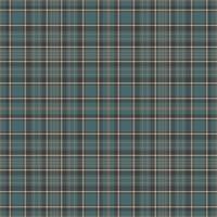 Tartan plaid pattern with texture and warm color. vector