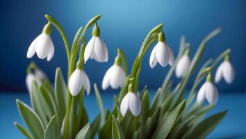 AI generated beautiful snowdrops on a blue background photo