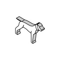 german shrothaired pointer dog isometric icon vector illustration
