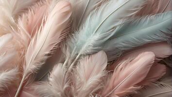 Beautiful feathers closeup background photo