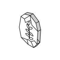 Roca con planta boho isométrica icono vector ilustración