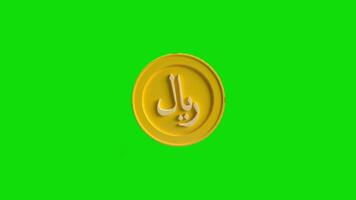 singolo riyal moneta verde schermo video
