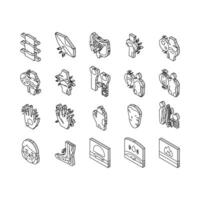 Rheumatology Disease Problem isometric icons set vector