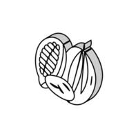 cocoa nut isometric icon vector illustration