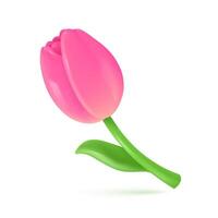 3D Tulips. Beautiful flowers given to express congratulations. Giving special gifts for women. 3D vector Illustration.