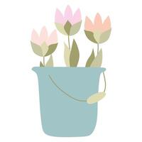 Spring Tulips in Bucket. Floral Bouquet of fresh Blossomed Flowers in Pot. Pretty posies with lush petals. Flat Vector illustration Isolated on white for Greeting Card, Holiday Poster, Banner, Decor.