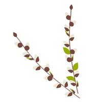 Easter Spring Twigs Blossom Pussy Willow branch with Leaves. Vector Holiday illustration in Cartoon Flat style Isolated on white. Botany Springtime March Design Element for Greeting Card, Postcard.