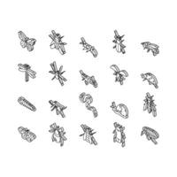 Insect, Spider And Bug Wildlife isometric icons set vector