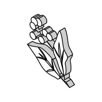 camphor aromatherapy isometric icon vector illustration