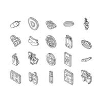 Cucumber Natural Bio Vegetable isometric icons set vector