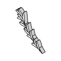 rosemary branch isometric icon vector illustration