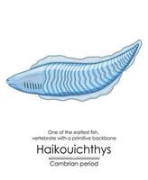 haikouichthys es conocido como uno de el primero pescado vector