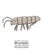 rhyniella, el más temprano conocido insecto vector