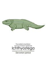 Ichthyostega is the earliest amphibian vector