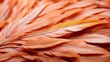 AI generated Beautiful feathers closeup background photo
