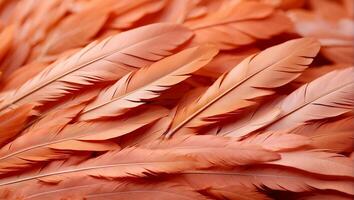 AI generated Beautiful feathers closeup background photo