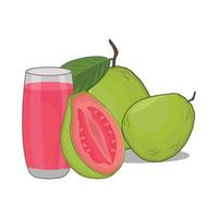 ilustración de guayaba jugo vector