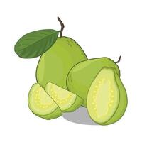 ilustración de guayaba vector