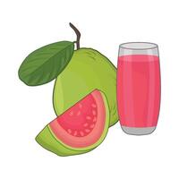 ilustración de guayaba jugo vector