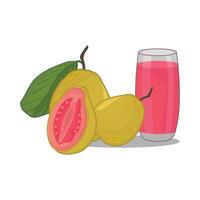 ilustración de guayaba jugo vector