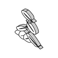hojas Espinacas isométrica icono vector ilustración