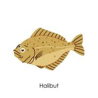 Halibut Edible Salt Water Fish Element vector