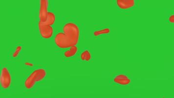 Happy valentine day congratulation with pink 3d heart rain shapes flying with green background chroma key video