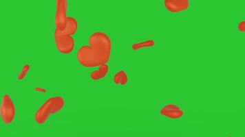 Happy valentine day congratulation with pink 3d heart rain shapes flying with green background chroma key video