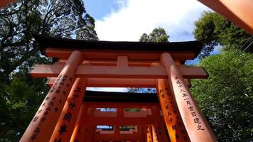 Kyoto, japan på oktober 1, 2023. punkt av se av människor gående ser upp och vändning bland hundratals av till synes ändlös banor av vibrerande orange toriien grindar den där linje de närma sig till mt. inari. video