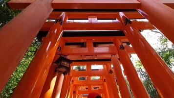 Kyoto, Japon sur octobre 1, 2023. point de vue de gens en marchant à la recherche en haut et tournant parmi des centaines de apparemment interminable chemins de vibrant Orange torii portes cette ligne le approche à mt. Inari. video