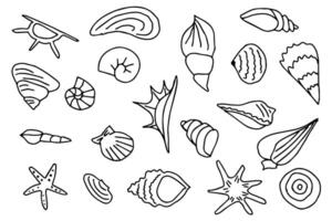 Set of various sea shells. Starfish, shellfish, underwater world. Coloring. Clip art vector