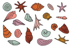 Set of various groovy sea shells. Starfish, shellfish, underwater world vector