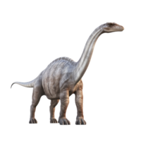 ai generado majestuoso diplodocus retrato, en transparente antecedentes. png