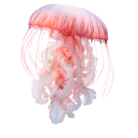 AI generated Jellyfish invertebrate     transparent background generative AI png