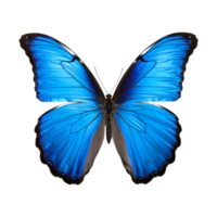 AI generated Blue morpho butterfly isolated on transparent background  generative AI png