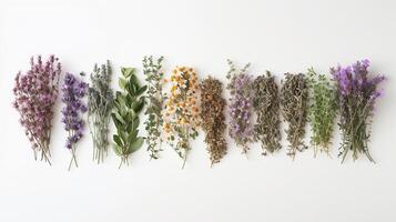 ai generado varios medicinal plantas individualmente en contra un limpiar blanco fondo, antecedentes imagen, generativo ai foto