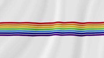 Jewish Autonomous Oblast Waving Flag. Realistic Flag Animation. Seamless Loop Background video