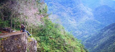 mujer viajar naturaleza tomando fotografías flor de sakura rosa en doi inthanon chiangmai en tailandia. foto