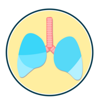 Lungs diagnostic design in flat style png