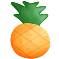 Pineapple fruit isolated on transparent background png