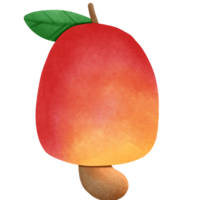 Cashew nut fruit isolated on transparent background png