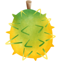 Durian fruit isolated on transparent background png