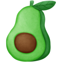 Avocado fruit isolated on transparent background png