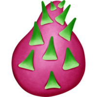 Dragon fruit isolated on transparent background png