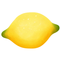 Lemon fruit isolated on transparent background png