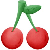 Cherry fruit isolated on transparent background png