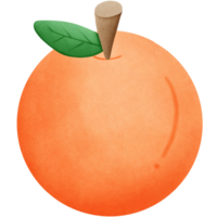 orange frukt isolerat på transparent bakgrund png